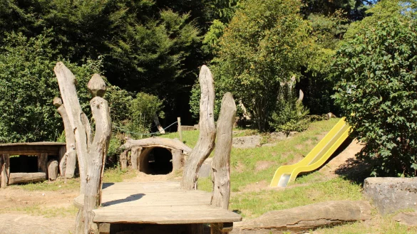 Einige der hölzernen Spielelemente auf dem Spielplatz in Schwelentrup müssen nach 13 Jahren ausgetauscht werden. - © Chiara Wibbeke