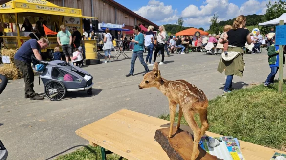 Die rollenden Waldschule war beim Hoffest auf der Egge in Hörste dabei. - © Astrid Sewing
