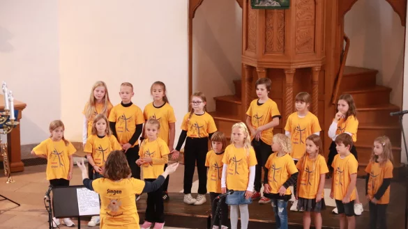 Der Kinderchor „Helpup Crossies“ bei seinem ersten großen Auftritt im vergangenen Jahr, als der Chor sein erstes Sommerkonzert gegeben hat. Foto: Knut Dinter - © Knut Dinter