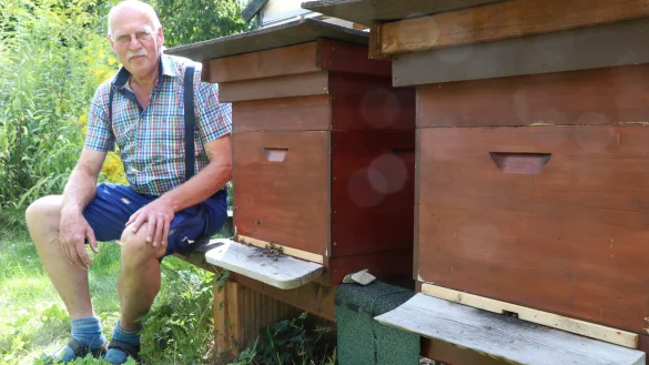 Imker Helmut Schrick neben seinen Bienenv&ouml;lkern im Paderborner Riemekeviertel. Hier hat er schon mehrfach Asiatische Hornissen gesehen, die Bienen gejagt haben. - &copy; Holger Kosbab