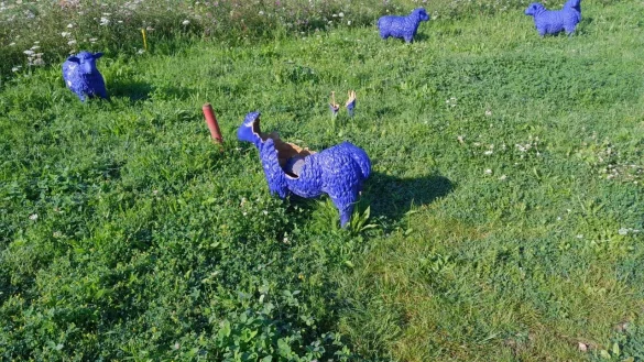 Das ist nicht aus Versehen passiert. Die blauen Schafe wurden mutwillig zerbrochen. - &copy; LGS F&ouml;rderverein