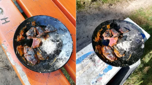 Mutmaßliche Hundegiftköder sorgen rund um den Flugplatz Senne für große Unruhe unter den Hundebesitzern. - © privat