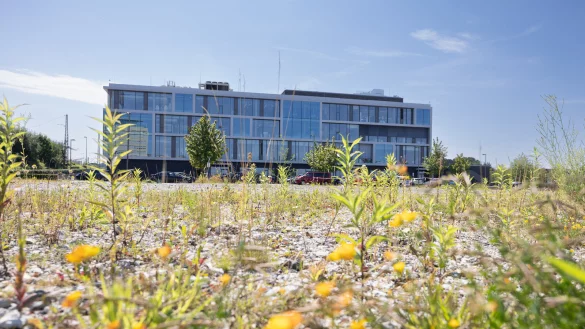 Zwischen dem Campus Handwerk (hinten) und dem Kreisverkehr an den Stadtwerken liegt die Brache, die bald bebaut werden soll. - © Oliver Krato