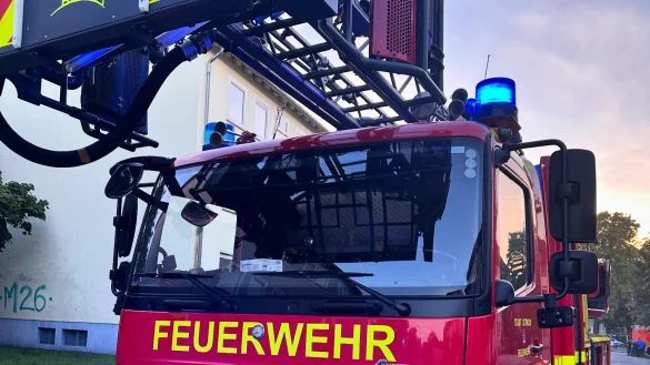 Die Drehleiter der Feuerwehr konnte den (vermeintlichen) Ungl&uuml;cksort kaum erreichen. - &copy; C.Rieks