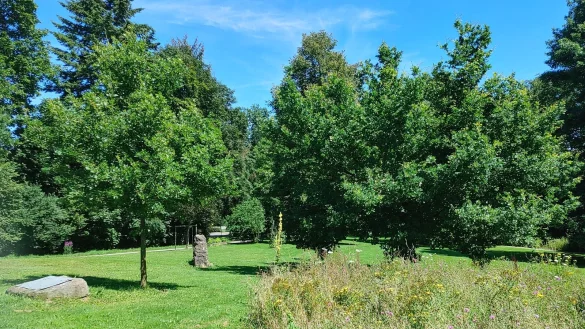 Der Park in Rischenau feiert sein 50-j&auml;hriges Bestehen. - &copy; Andreas Rahns