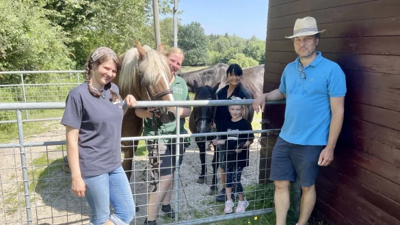 Die Organisatoren mit den Vierbeinern Ina und Mo (von links): Johanna Neugebauer (Malteser Umfeldmanagerin), Gisela Krohn vom Animal Projekt, Gisela Ottemeier mit Juna aus H&ouml;rste und Dirk Steinhage (Lions Club Lage). - &copy; Anke Buttchereit/Malteser