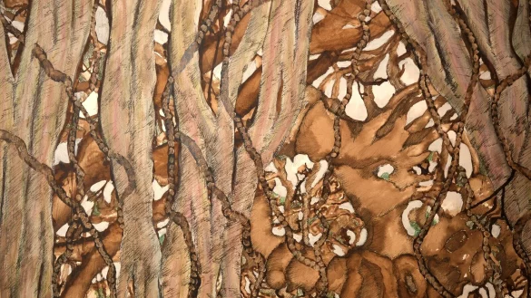 Ingrid Moll-Horstmann zeigt Zeichnungen, die an sich durchdringendes Ge&auml;st und Wurzelwerk erinnern. - &copy; Sven Koch