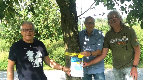 Haben f&uuml;rs Foto den ersten Baum im Alverdisser Bodensiek gekennzeichnet: Thomas Schekendiek, Andreas Wilde und Adolf Albert (von links). - &copy; Sylvia Frevert