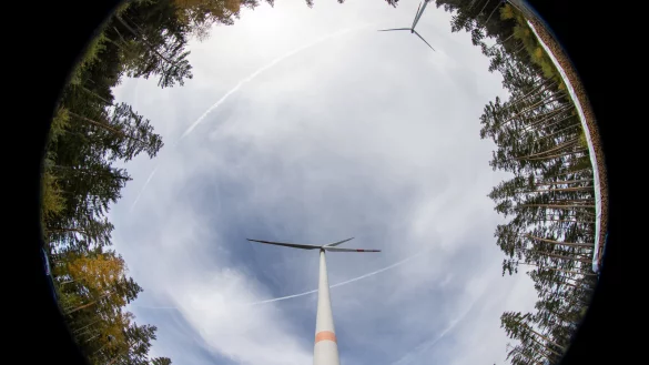 Windkraft im Wald? In Lippe seit Jahren ein großes Thema. - © (c) Copyright 2021, dpa (www.dpa.de). Alle Rechte vorbehalten
