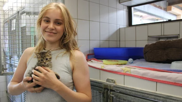 Lena Heidemann f&uuml;hrt zusammen mit ihrer Mutter seit vier Jahren eine Pflegestelle f&uuml;r Katzenbabys. - &copy; Nico D&uuml;llmann