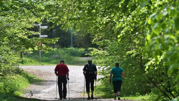 Die Kurwege in Bad Meinberg bekommen eine neue Beschilderung. - © Archivfoto: Jörg Hagemann
