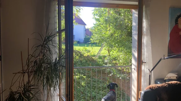 Fenster und T&uuml;ren auf: Sto&szlig;l&uuml;ften verhindert die Schimmelbildung und f&ouml;rdert das Wohlbefinden, und der Ausblick gef&auml;llt auch dem Hund. - &copy; Silke Buhrmester