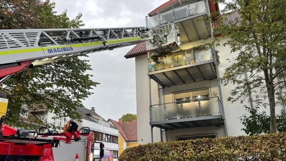 Einsatz Im Bruche am Dienstagmorgen. - &copy; Feuerwehr Lage/Andreas Dieckmann