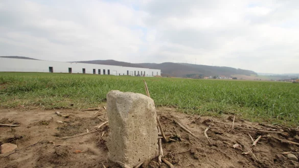 F&uuml;r die Erschlie&szlig;ung des Gewerbegebiets Echternhagen II &ndash; im Bild ein Teil der Erweiterungsfl&auml;che mit Grenzstein &ndash; stehen 750.000 Euro im Haushalt. - &copy; Jens Rademacher