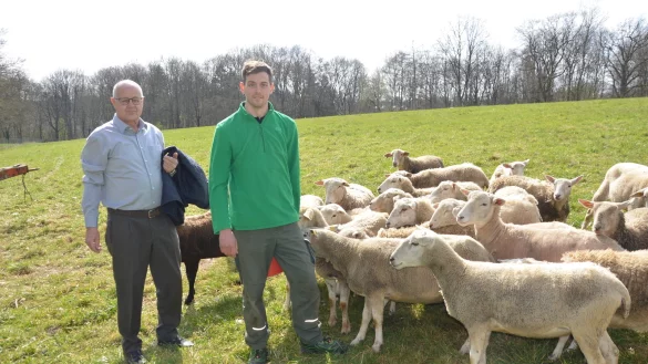 Manfred J&uuml;nemann (links) und Christian B&uuml;ker mit Tieren der Nolana-Schafherde, die auf den Randfl&auml;chen (Roughs) des Golfplatzes in Bad Salzuflen weiden werden. - &copy; Georg K&auml;lble