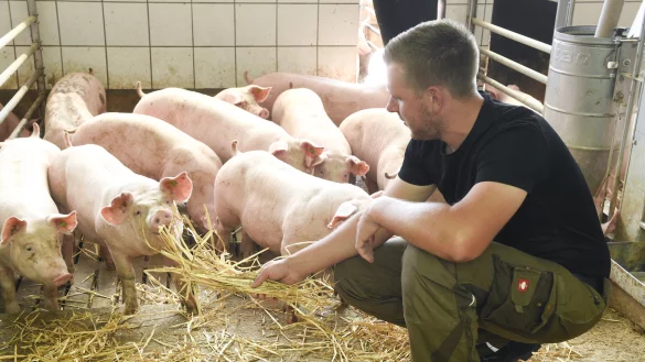Der Schlachtkonzern T&ouml;nnies unterst&uuml;tzt nach eigenen Angaben die Umstellung auf tierfreundlichere Formen der Haltung. - &copy; T&ouml;nnies