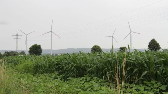 Vier Windr&auml;der drehen sich bereits in der N&auml;he von Hardissen. Die Stadt will vorstellen, welche M&ouml;glichkeiten es gibt, dass im Stadtgebiet weitere dazukommen. - &copy; Hajo G&auml;rtner