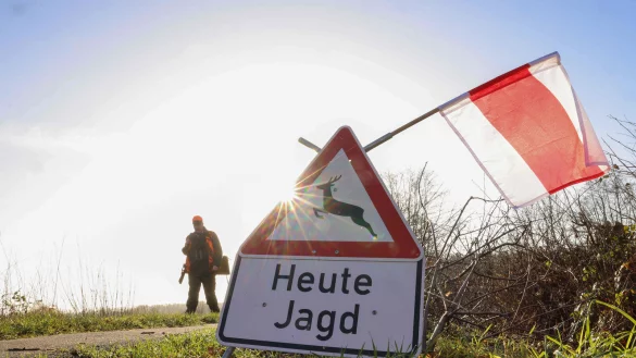 &bdquo;Heute Jagd" hei&szlig;t es diese Woche auch in Begatal. Dort findet die Raubwildwoche statt. Neben F&uuml;chsen werden auch Waschb&auml;ren und Marderhunde erlegt. - &copy; Symbolfoto: Christian Charisius/dpa