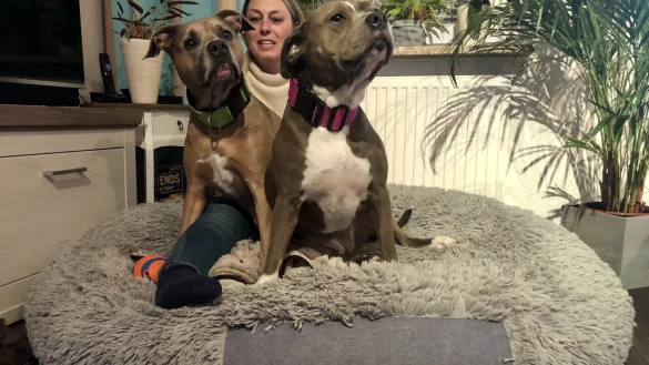 Simone H&auml;hne mit den American-Staffordshire-Terriern &bdquo;Junior" (links) und &bdquo;Maja" in ihrem Wohnzimmer.&nbsp; - &copy; Sven Kienscherf