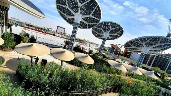 &bdquo;Solarpilze" versorgen den Pavillon des Emirats Dubai auf der dortigen Weltausstellung mit Strom. Die Pflanzenkl&auml;ranlage, erkennbar am Schilf unten am Bildrand, hat der Lemgoer Wolfram Sievert konzipiert. Fotorechte: Wolfram Sievert - &copy; Wolfram Sievert