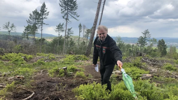 Hans-Ulrich Braun, Leiter der Forstabteilung des Landesverbandes Lippe, zeigt kahle Fl&auml;chen unterhalb der Velmerstot. Hier will der Landesverband der Natur ein paar Jahre freies Spiel lassen und sehen, was sich entwickelt. - &copy; Till Brand