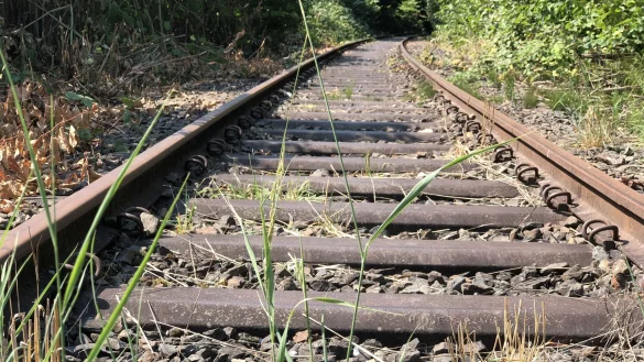 Gleise in Brake &ndash; aus Ingenieurssicht sind sie nicht abgeschrieben. - &copy; Archivfoto: Till Brand