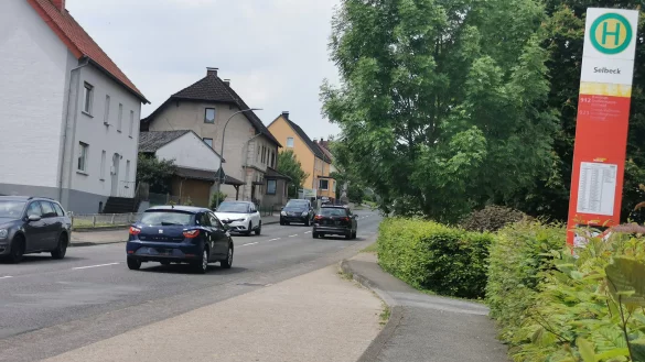 Hier fahren rund 4.500 Fahrzeuge t&auml;glich und nach &Ouml;ffnung der Umgehungsstra&szlig;e Barntrup vermutlich noch "mehrere Tausend" weitere KFZ: die Detmolder Stra&szlig;e in Selbeck. - &copy; Sylvia Frevert
