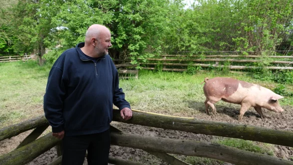 Landwirt, Lipper Urgestein und Autor Friedo Petig mit einem seiner Duroc-Schwein im Hintergrund. - &copy; Sven Koch