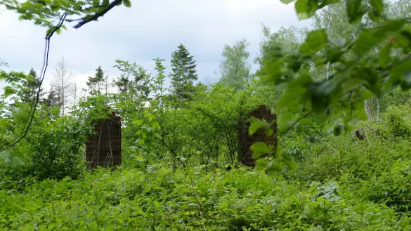 An dieser Stelle auf dem Obernberg befand sich vor rund 70 Jahren eine Zuchtfarm f&uuml;r Silberf&uuml;chse.&nbsp; - &copy; Rainer L&uuml;bking