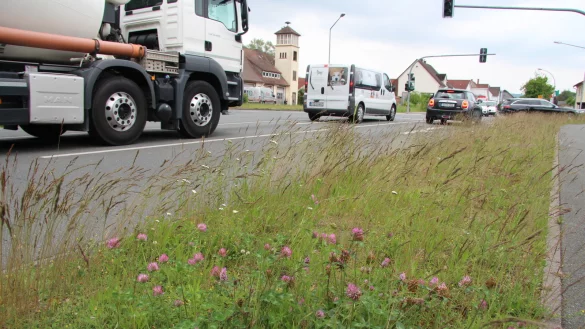 Die Ehlentruper Stra&szlig;e soll in K&uuml;rze saniert werden - von der Kreuzung, an der das ehemalige Feuerwehrhaus von Pivitsheide V.H. steht (hier im Hintergrund), in Richtung Lage. - &copy; Jana Beckmann