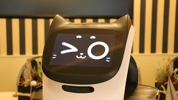 Layla hat ein freundliches Wesen und zwinkert den Menschen um sie herum gauch mal zu. - &copy; Henning Wandel