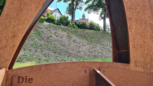 Kahle Stellen klaffen teilweise zwischen einzelnen Efeupflanzen. Mit dem Johannistrieb - also um den 23. Juni - rechnet Landschaftsg&auml;rtner Thomas Grytz damit, dass sich die L&uuml;cken schlie&szlig;en. - &copy; Marianne Schwarzer(LZ)