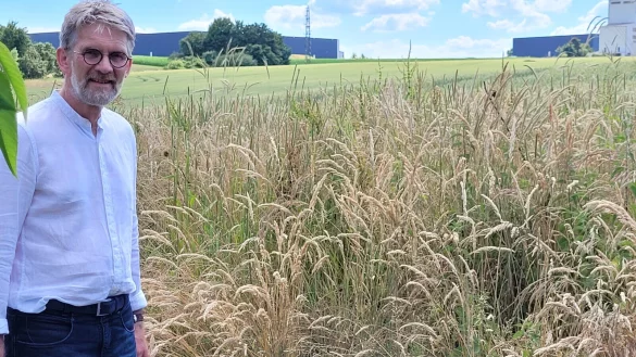 Gerd Bicker steht in einem Garten, hinter dem die Umgehungsstra&szlig;e vorbeif&uuml;hren w&uuml;rde. Im Hintergrund ist das Industriegebiet zu sehen. Zwischen den Firmengeb&auml;uden ist die L&uuml;cke zu sehen, hier w&uuml;rde die Trasse verlaufen. - &copy; Astrid Sewing