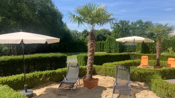 In der Erlebniswelt &bdquo;Hortus Vitalis&ldquo; sollen die Palmeninseln f&uuml;r ein exklusives Erlebnis sorgen. Foto: Hortus Vitalis - &copy; Hortus Vitalis