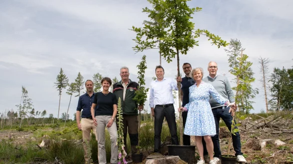Die Gr&uuml;ndungsmitglieder: Rasmus Lerche, Susanne Schwickert, F&ouml;rster J&uuml;rgen Windmann in Stellv. f&uuml;r Stephan Prinz zur Lippe, Frank Hilker, Stefan Sievers, Friedericke Strate und Christian Schmidt (von links). - &copy; B&uuml;rgerwald Detmold