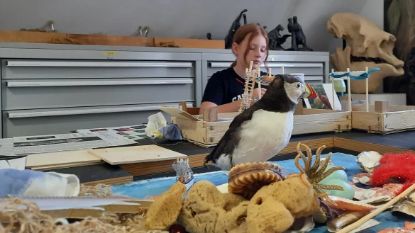 Workshops sollen die Kreativit&auml;t der teilnehmenden Kinder f&ouml;rdern. - &copy; Lippisches Landesmuseum