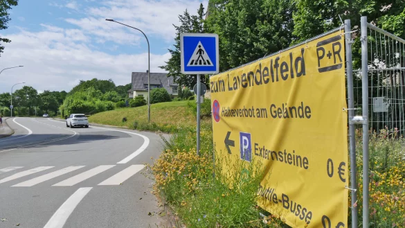 Auch in Horn weisen gro&szlig;e Banner auf den Shuttlebusverkehr zum Lavendelfeld hin. - &copy; Jost Wolf