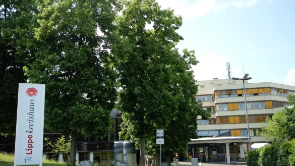 Das Kreishaus in Detmold: Nach Meinung der Gr&uuml;nen wollen CDU, FDP und Freie W&auml;hler/Aufbruch C dort mit ihren Antr&auml;gen die Arbeit "zum Erliegen bringen". - &copy; Sven Koch