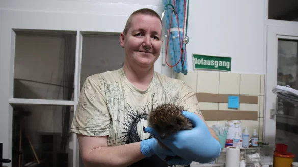 Tanja Groundwater hat Joy in Obhut genommen. Anfangs brauchte das sehr kleine und verletzte Tier viermal pro Tag Futter. - &copy; Susanne Blersch