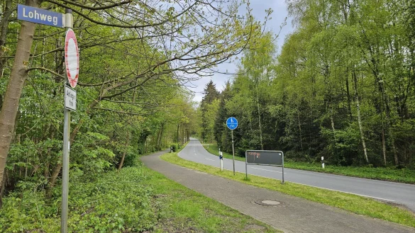 Auf der Teutoburger-Wald-Stra&szlig;e gilt in einem Teilst&uuml;ck am Sternberg Tempo 50, sonst 100. Der Kreis Lippe steht einer Reduzierung auf Tempo 70 positiv gegen&uuml;ber, ob im direkten Bereich der Notunterkunft auch Tempo 50 angeordnet werden k&ouml;nnte, steht noch nicht fest. - &copy; Astrid Sewing