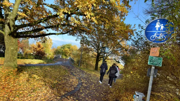 Rad- und Gehweg in einem Bielefelder Gr&uuml;nzug: Innerst&auml;dtische Gr&uuml;nfl&auml;chen und Parks sollen zu Ruheoasen f&uuml;r die Menschen werden, die in der Umgebung wohnen. - &copy; Barbara Franke