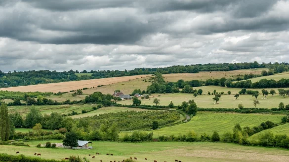 Hecken und S&auml;ume in der Landschaft schaffen Synergien zwischen Klimaschutz und dem Erhalt der biologischen Vielfalt. - &copy; Symbolbild: Pixabay