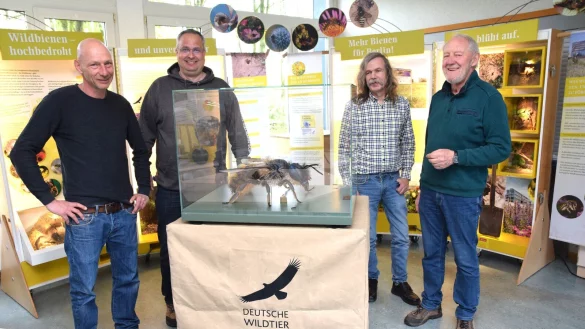 P&auml;dagoge Thorsten Hupe (von links) und Schulleiter Christian Landerbarthold sowie Andreas Volmar und Wilfried Kohlmeyer vom Nabu nach dem Aufbau der mobilen Ausstellung. - &copy; Karin Prignitz