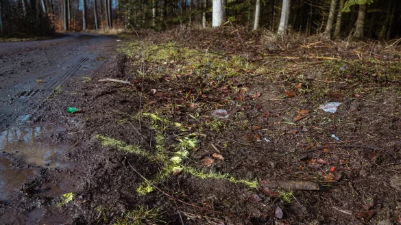 Die Polizei hatte die Unfallstelle an einem Waldweg in Kalletal damals markiert. - &copy; FreitagTV/Stock