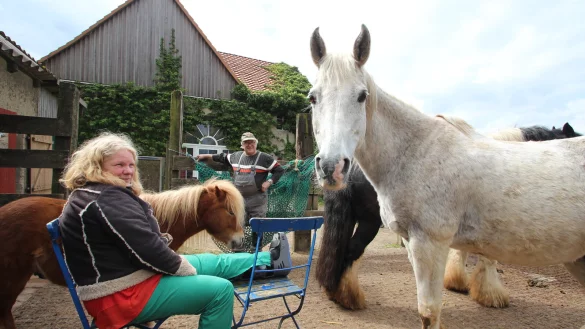 Sylvia Frevert ist wegen des gebrochenen Fu&szlig;gelenks bei der Versorgung der Tiere auf ihrem Ponyhof auf Hilfe angewiesen. Mit im Bild sind Heulieferant John Bannasch vom Hof Pethig sowie Pony "Charlie" und der neugierig guckende Schimmel "Jack". - &copy; Jens Rademacher