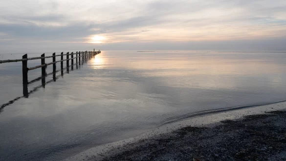 Eine Aufnahme Blankes auf dem Dars an der Ostsee. - &copy; ANDREAS BLANKE