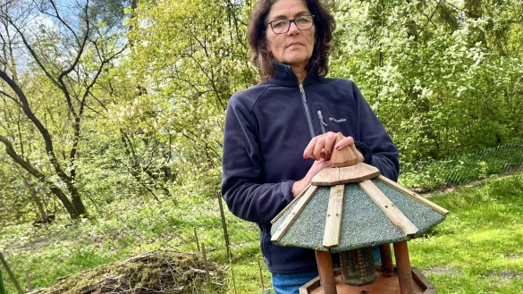 Elke Koch f&uuml;ttert die V&ouml;gel in ihrem Garten in H&ouml;velhof derzeit nicht mehr. Sie will damit den Kontakt unter Meisen minimieren. - &copy; Jens Reddeker