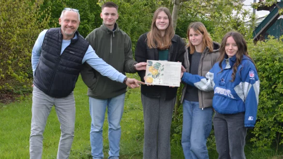 Jahrgangsstufenleiter Michael Heitk&auml;mper sowie die Klassensprecher Mathilda Krone, Pauline Thies, Mia Gruber und Finlay Winter (von links) pr&auml;sentieren die Infotafel zur Goldrenette Freiherr von Berlepsch. - &copy; BUND Lemgo