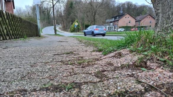 Der Radweg an der Lemgoer Stra&szlig;e (B66) ist in einem schlechten Zustand. Baumwurzeln dr&uuml;cken das Pflaster hoch. - &copy; Nadine Uphoff