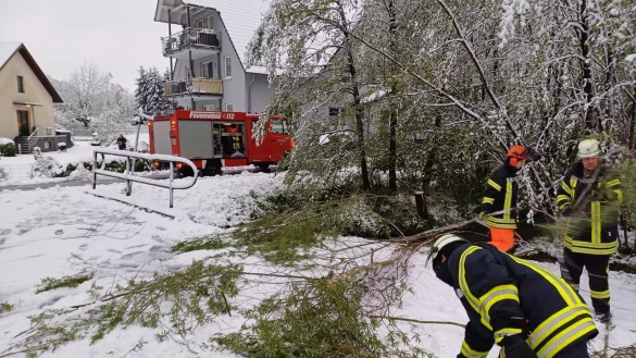 Die Feuerwehr Horn-Bad Meinberg hatte wegen des pl&ouml;tzlichen Schneefalls alle H&auml;nde voll zu tun. - &copy; Feuerwehr Horn-Bad Meinberg